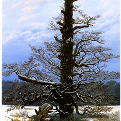 Jigsaw puzzle: Oak in the snow