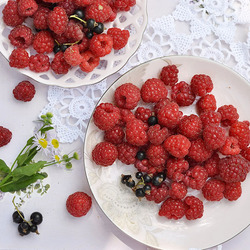 Jigsaw puzzle: Raspberry delight