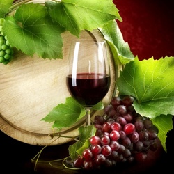 Jigsaw puzzle: Grape wine