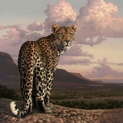 Jigsaw puzzle: Leopard