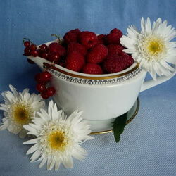 Jigsaw puzzle: Chrysanthemums and berries