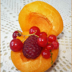 Jigsaw puzzle: Apricot and berries