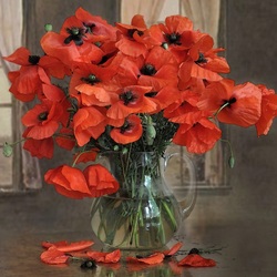 Jigsaw puzzle: Poppies bouquet