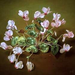 Jigsaw puzzle: Pink forest cyclamen