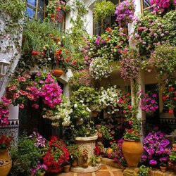 Jigsaw puzzle: Flower courtyards of Spain
