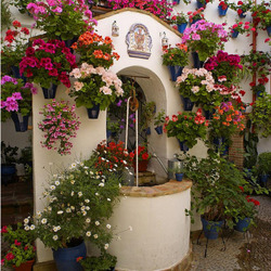 Jigsaw puzzle: Flower courtyards of Spain