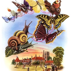 Jigsaw puzzle: Flight of butterflies