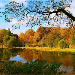 Jigsaw puzzle: Autumn on the river