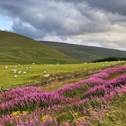 Jigsaw puzzle: British hills