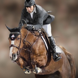 Jigsaw puzzle: Eric Lamaze and Hickstead