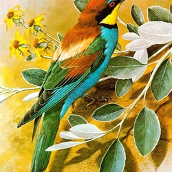 Jigsaw puzzle: Golden bee-eater