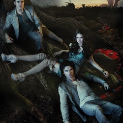Jigsaw puzzle: Stefan, Elena, Damon