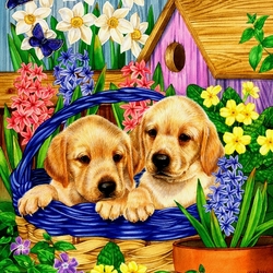 Jigsaw puzzle: Puppies in flowers