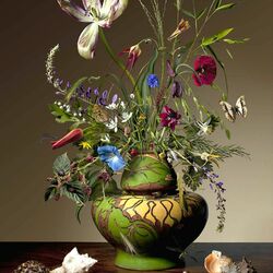 Jigsaw puzzle: Still life with seashells and tulip