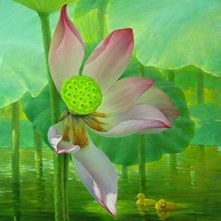 Jigsaw puzzle: Lotus flower