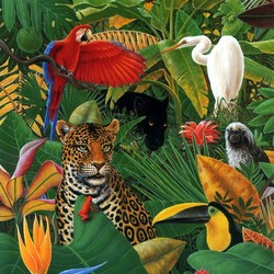 Jigsaw puzzle: Jungle