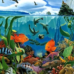 Jigsaw puzzle: Undersea world