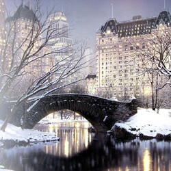 Jigsaw puzzle: Twilight in Central Park