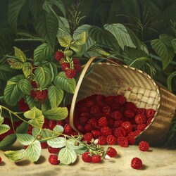 Jigsaw puzzles on topic «Virginia Cranberry»