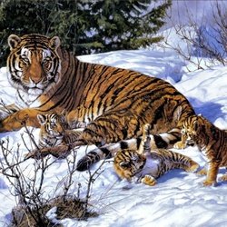 Jigsaw puzzle: Fun little tiger cubs