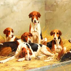 Jigsaw puzzle: Hounds in a kennel / Dogs in the kennel