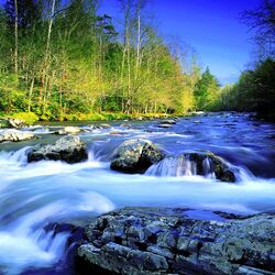 Jigsaw puzzle: The mountain river descended into the valley