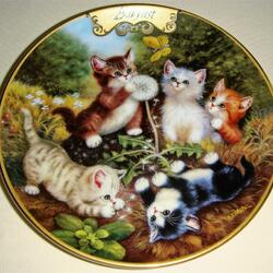 Jigsaw puzzle: August kittens