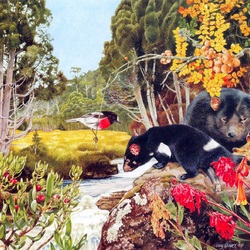 Jigsaw puzzle: Tasmanian devil