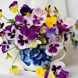 Jigsaw puzzle: Pansies
