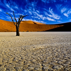 Jigsaw puzzle: Desert landscape