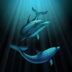 Jigsaw puzzle: Dolphins in the ocean