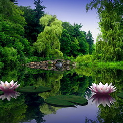 Jigsaw puzzle: Forest pond