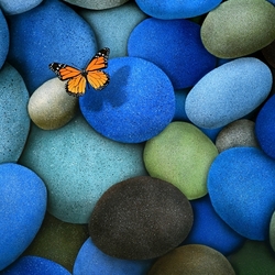 Jigsaw puzzle: Butterfly on stones