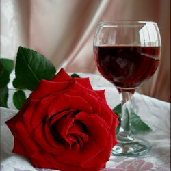 Jigsaw puzzle: Still life with a rose