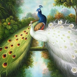 Jigsaw puzzle: Peacocks