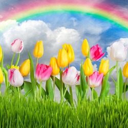 Jigsaw puzzle: Spring rainbow