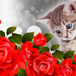 Jigsaw puzzle: Kitten and roses