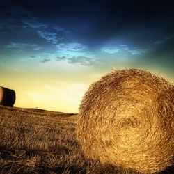 Jigsaw puzzle: Haymaking