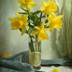 Jigsaw puzzle: Still life with daffodils
