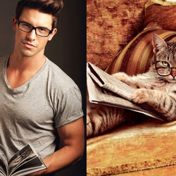 Jigsaw puzzle: Men and cats