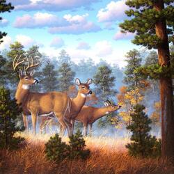Jigsaw puzzle: White Tail Family