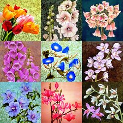 Jigsaw puzzle: Flowers on silk