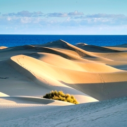 Jigsaw puzzle: Sand dunes on Gran Canaria