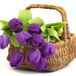 Jigsaw puzzle: Basket with tulips