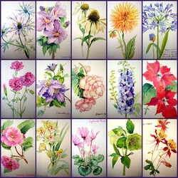 Jigsaw puzzle: Flower watercolor
