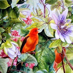 Jigsaw puzzle: Passionflower
