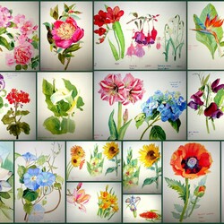 Jigsaw puzzle: Flower watercolor