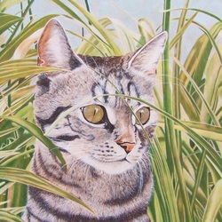 Jigsaw puzzle: Kitten in the grass