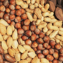 Jigsaw puzzle: Nuts