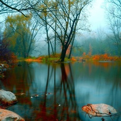 Jigsaw puzzle: Lake in the forest